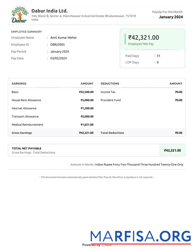 Realistic Dabur India goods company payslip template